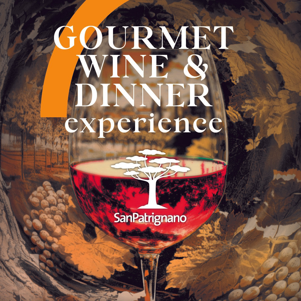 Gourmet Wine & dinner experience