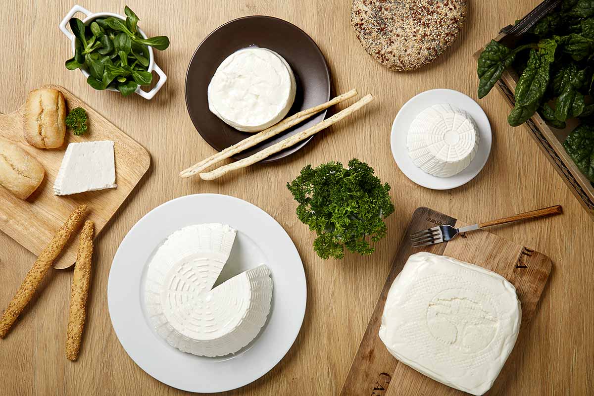 Squacquerone: caratteristiche e proprietà del formaggio fresco