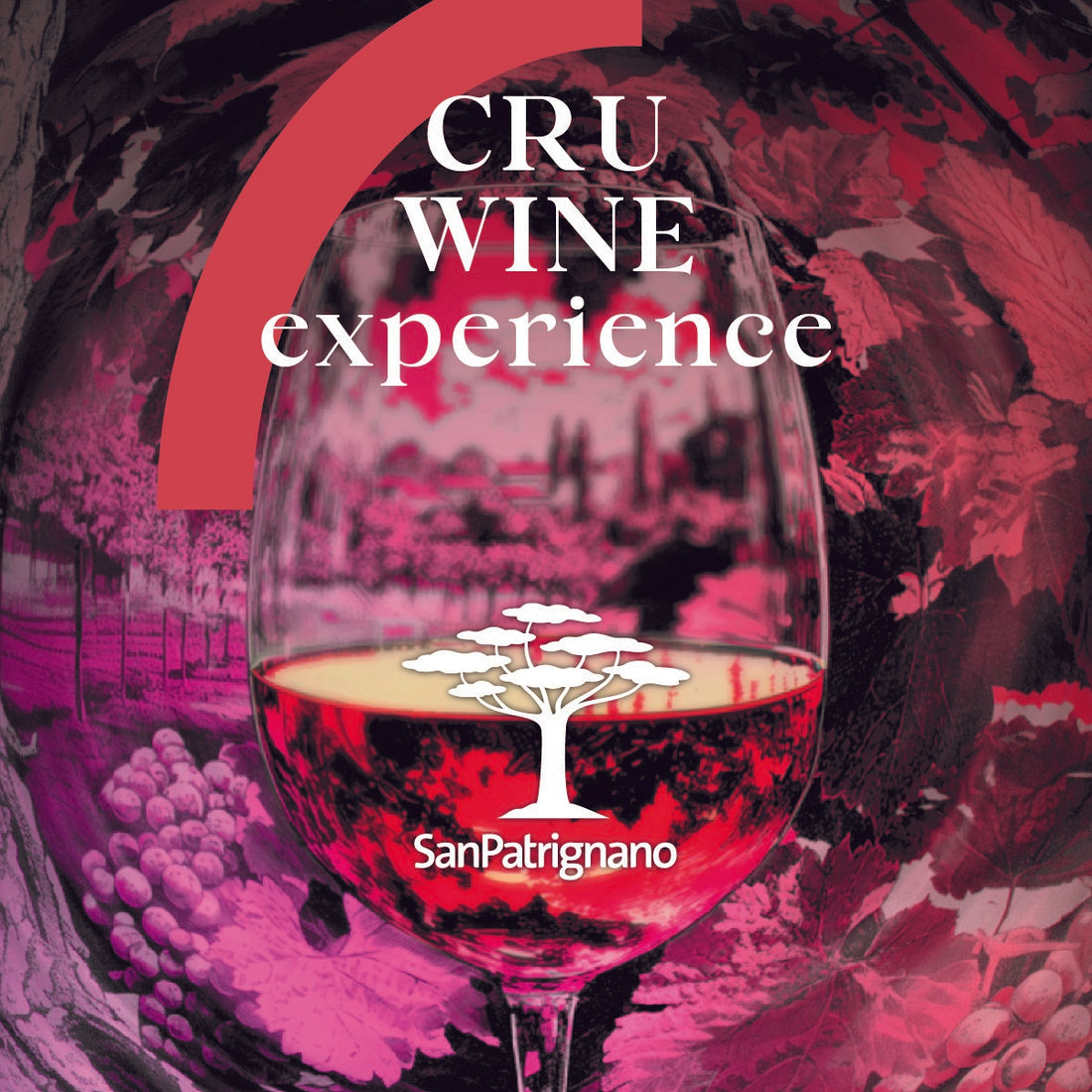 Cru Wine experience