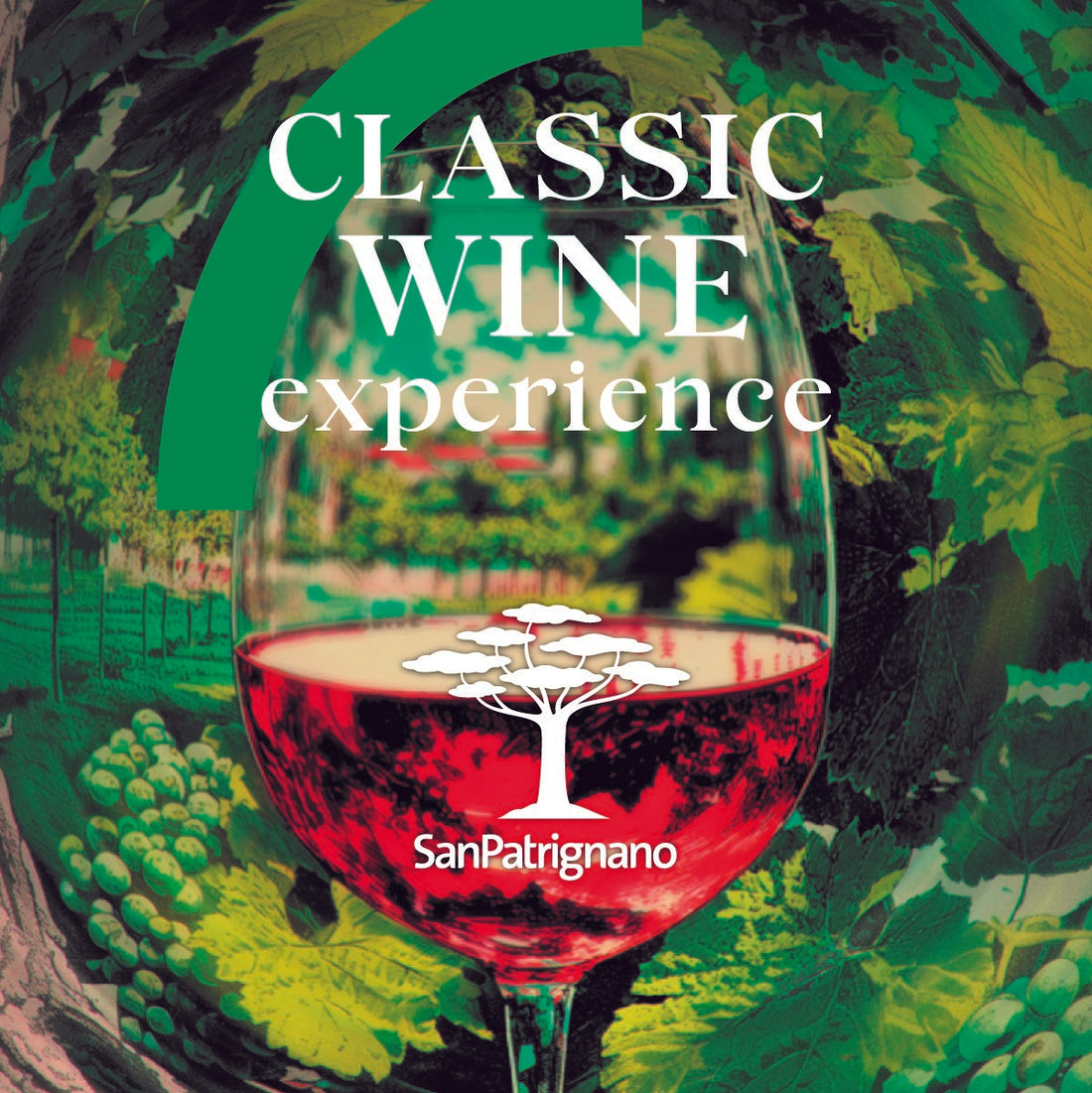 Classic Wine experience