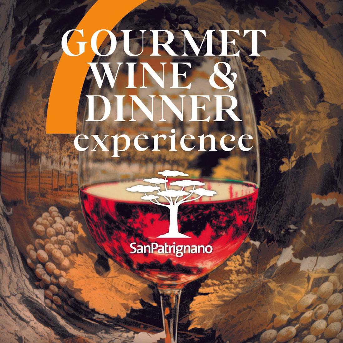 Gourmet Wine & dinner experience
